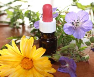 Natural Sleep Remedies Herbal Medicine